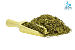 علاج ادمان الكيميكال في مستشفى موافي